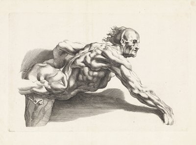 Anatomisk studie av lenende mann Tegneboken til Peter Paul Rubens (serietittel) av Paulus Pontius