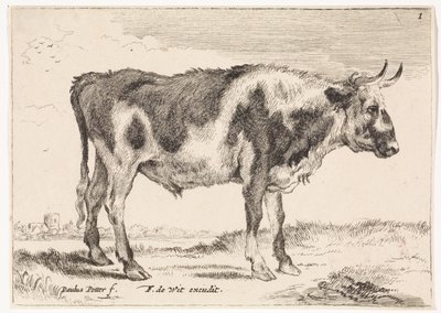 flekket okse Okser og kyr (serietittel) av Paulus Potter (rejected attribution)