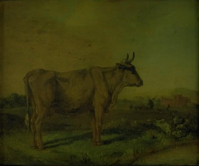 En ku av Paulus Potter