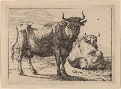 En ku som står og en annen som ligger av Paulus Potter