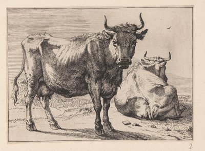 En ku som står og en annen som ligger, fra forskjellige okser og kyr av Paulus Potter