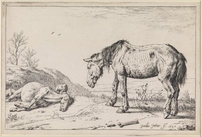  av Paulus Potter