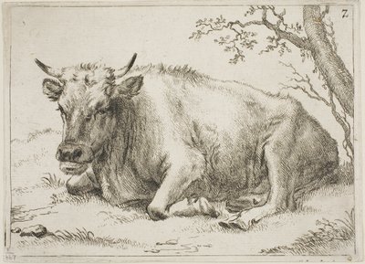 Ku som ligger ved siden av et tre, plate 7 fra Åtte okser og kyr av Paulus Potter