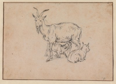  av Paulus Potter