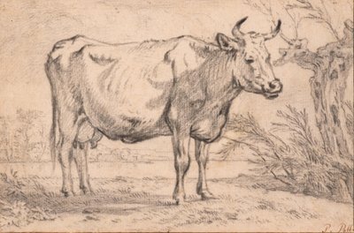  av Paulus Potter