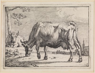  av Paulus Potter