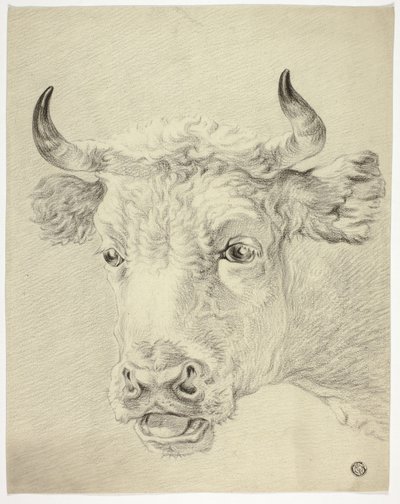 Leder for Cow av Paulus Potter