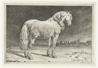 Frieserhesten Hester (serietittel) av Paulus Potter