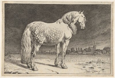 Frieserhesten Hester (serietittel) av Paulus Potter