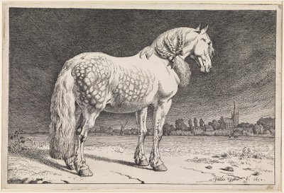 av Paulus Potter