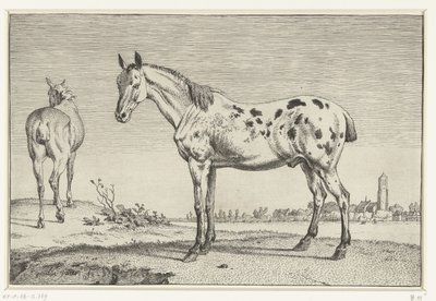 Den forankrede hesten Hester (serietittel) av Paulus Potter