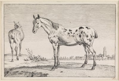  av Paulus Potter