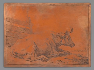 Ku liggende ved et gjerde av Paulus Potter