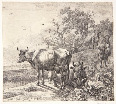  av Paulus Potter