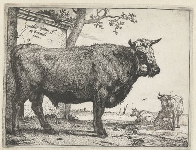 Tyren Bullen-heftet (serietittel) av Paulus Potter