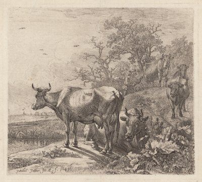 Kuherden av Paulus Potter
