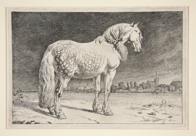 Friesland-hesten av Paulus Potter