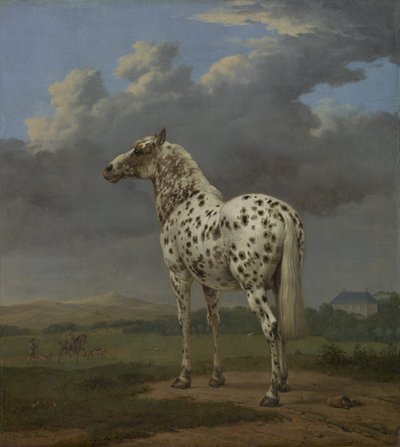 The "Piebald" Horse, ca. 1650-4 (olje på lerret) av Paulus Potter