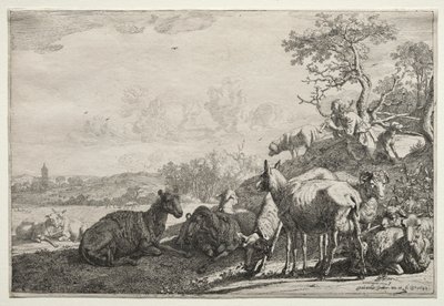 Hyrden av Paulus Potter