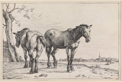  av Paulus Potter