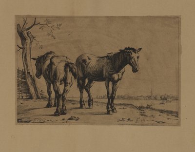 To hester av Paulus Potter