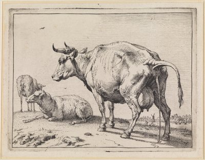  av Paulus Potter
