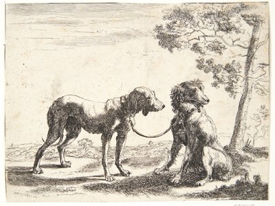 To hunder bundet sammen av Paulus van Hillegaert (II)