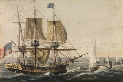 Etterfylling av skipets spisekammer med torsk utenfor Newfoundlandskysten, 1811-ca. 1813. av Pavel Petrovic Svin