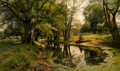 Stille vann i skogen av Peder Monsted
