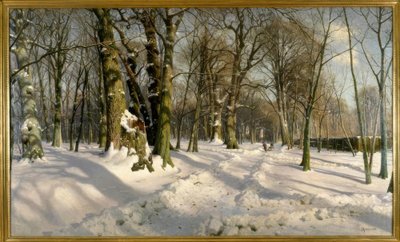 Snødekt vinterskog i sollyset av Peder Monsted