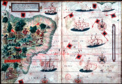 Kart over Brasil av de portugisiske navigatørene Pedro Reinel og Lopo Homen, c1525. av Pedro Reinel