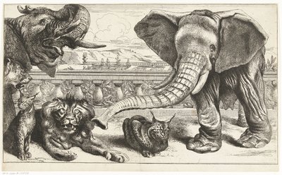 Elefanter, løver og gauper i hagene til Versailles av Peeter Boel (attributed to)