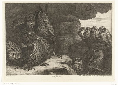 Ugler i en hule des Ducs (tittel på objekt) Fugler fra menasjeriet i Versailles (serietittel) av Peeter Boel (attributed to)
