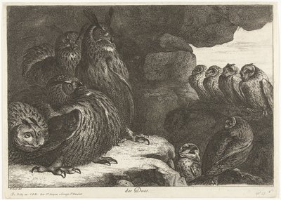 Ugler i en hule des Ducs (tittel på objekt) Fugler fra menasjeriet i Versailles (serietittel) av Peeter Boel (attributed to)