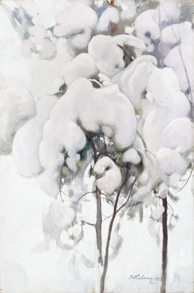 Snødekte furuplanter av Pekka Halonen