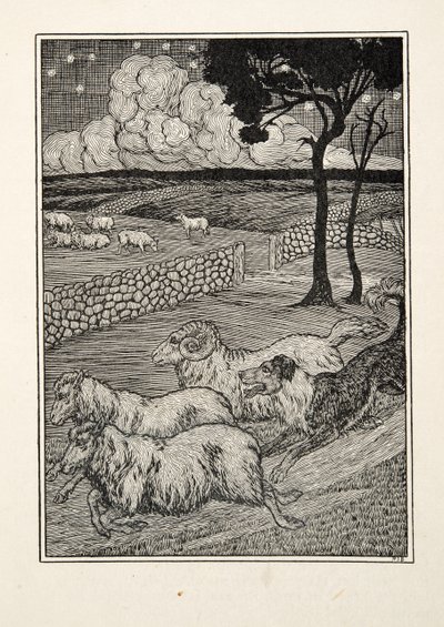 A Canine Sheep Stealer, fra A Hundred Anecdotes of Animals, pub. 1924 av Percy J. Billingshurst