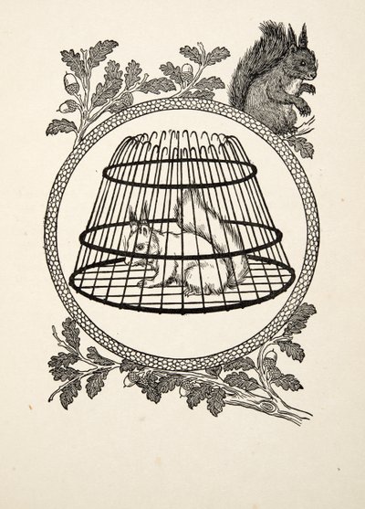 A Refugee Squirrel, fra A Hundred Anecdotes of Animals, pub. 1924 av Percy J. Billingshurst