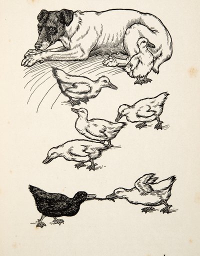 A Singular Foster-Mother, fra A Hundred Anecdotes of Animals, pub. 1924 av Percy J. Billingshurst