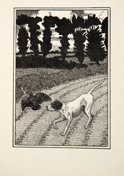 Deceiving the Fowler, fra A Hundred Anecdotes of Animals, pub. 1924 av Percy J. Billingshurst