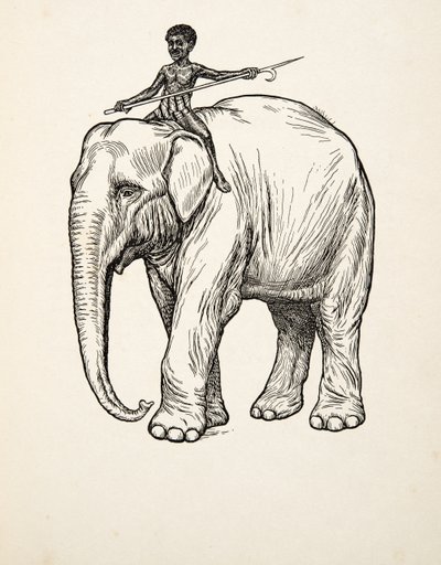Remorse, fra A Hundred Anecdotes of Animals, pub. 1924 av Percy J. Billingshurst