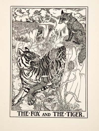 The Fox and the Tiger, fra A Hundred Fables of Aesop, pub.1903 (gravering) av Percy J. Billingshurst