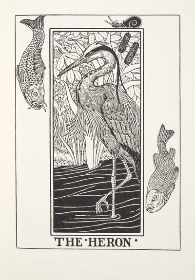 The Heron, fra Fontaine Fables, pub. 1905 (gravering) av Percy J. Billingshurst