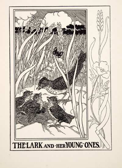 The Lark and her Young Ones, fra A Hundred Fables of Aesop, pub.1903 (gravering) av Percy J. Billingshurst