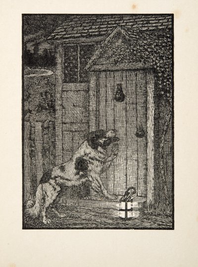 The Newfoundland Dog, fra A Hundred Anecdotes of Animals, pub. 1924 av Percy J. Billingshurst