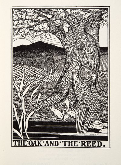 The Oak and the Reed, fra Fontaine Fables, pub. 1905 av Percy J. Billingshurst