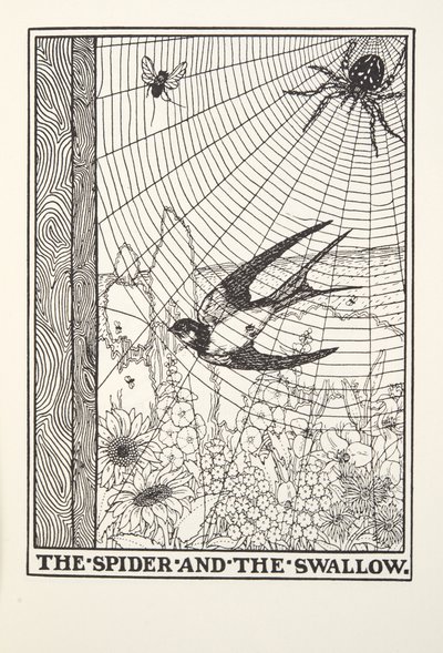 The Spider and the Swallow, fra Fontaine Fables, pub. 1905 av Percy J. Billingshurst
