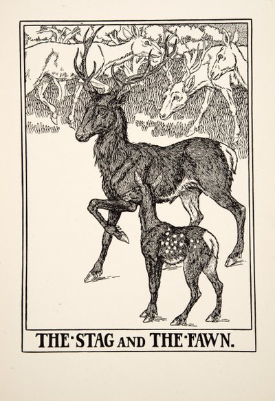 The Stag and the Fawn, fra A Hundred Fables of Aesop, pub.1903 av Percy J. Billingshurst