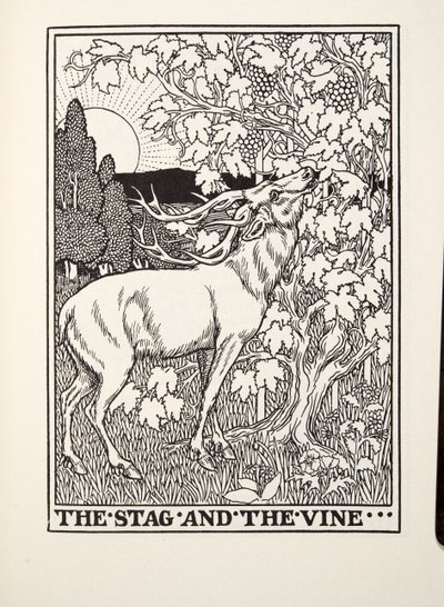 The Stag and the Vine, fra Fontaine Fables, pub. 1905 av Percy J. Billingshurst
