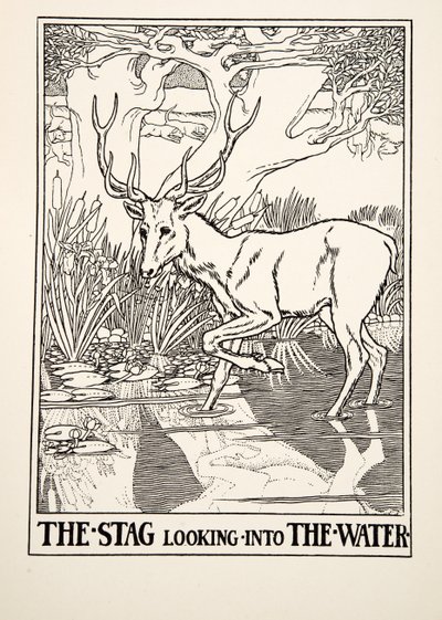 The Stag looking into the Water, fra A Hundred Fables of Aesop, pub.1903 (gravering) av Percy J. Billingshurst