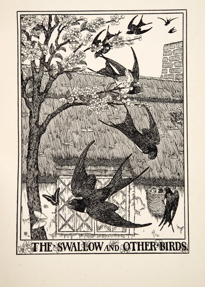 The Swallow and Other Birds, fra A Hundred Fables of Aesop, pub.1903 av Percy J. Billingshurst